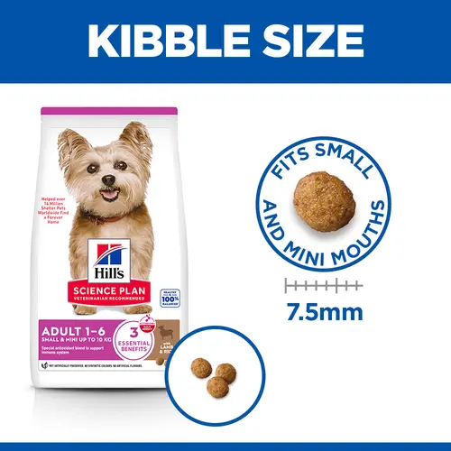 Hill's Science Plan Small & Mini Adult Hundefutter mit Lamm & Reis