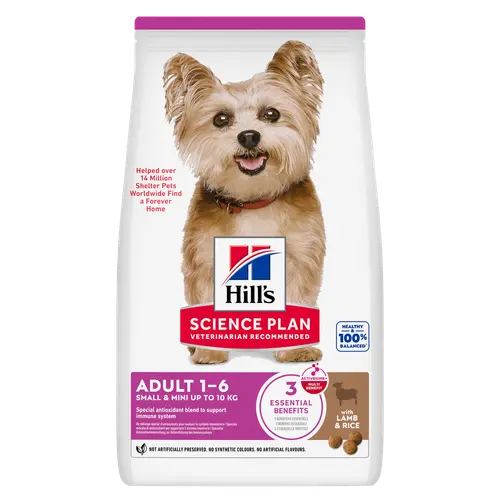 Hill's Science Plan Small & Mini Adult Hundefutter mit Lamm & Reis