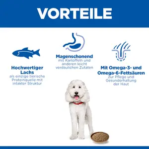 Hypoallergenic Adult Nassfutter für Hunde