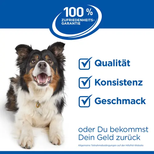 Hypoallergenic Adult Nassfutter für Hunde