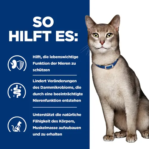 Hill's Prescription Diet k/d Katzenfutter mit Lachs