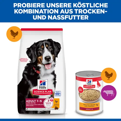Hill's Science Plan Large Breed Adult Hundefutter mit Huhn