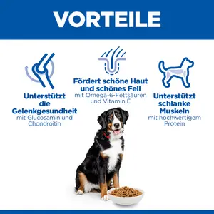 Hill's Science Plan Large Breed Adult Hundefutter mit Huhn