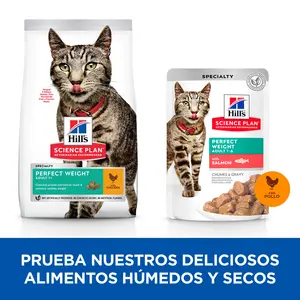  Hill's Science Plan Perfect Weight alimento húmedo para gatos adultos multipack con pollo y salmón - Bolsitas de 85g x 12 unidades 