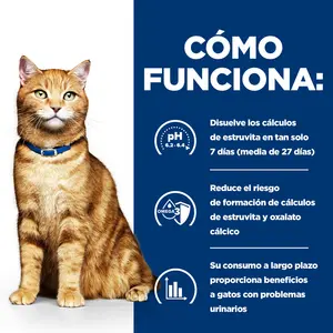 Hill's Prescription Diet c/d Multicare alimento para gatos con pollo