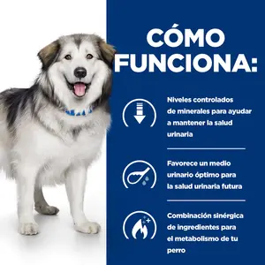 Hill's Prescription Diet c/d Multicare + Metabolic alimento para perros