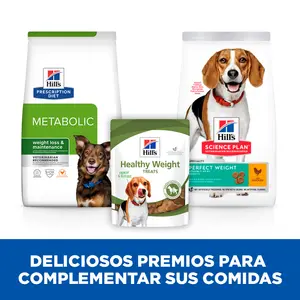 Hill's Healthy Weight premios para perros