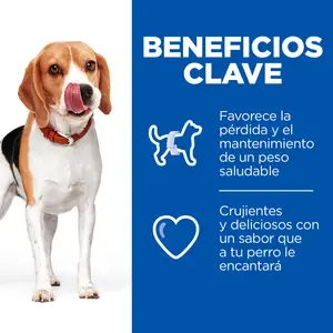 Hill's Healthy Weight premios para perros