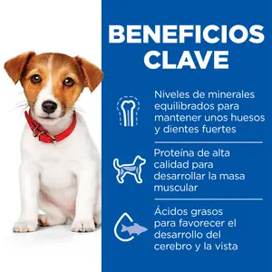 <p>Hill's Science Plan alimento para razas pequeñas y mini con cordero y arroz</p>