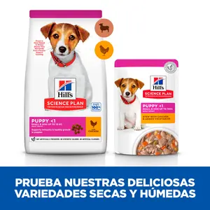 <p>Hill's Science Plan alimento para razas pequeñas y mini con cordero y arroz</p>