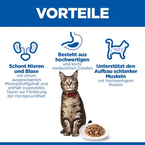 Hill's Science Plan Adult Katzenfutter mit Truthahn