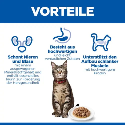 Hill's Science Plan Adult Katzenfutter mit Truthahn