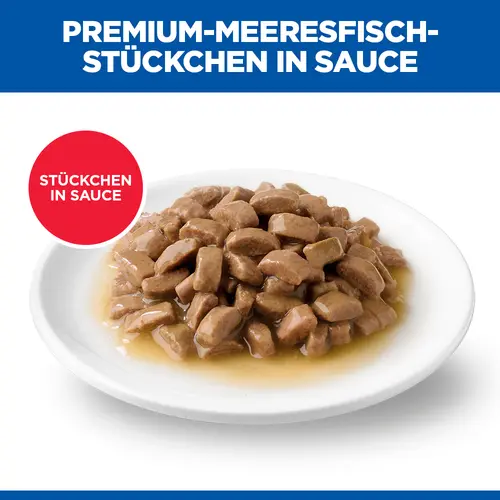 Hill's Science Plan Adult Katzenfutter mit Meeresfisch
