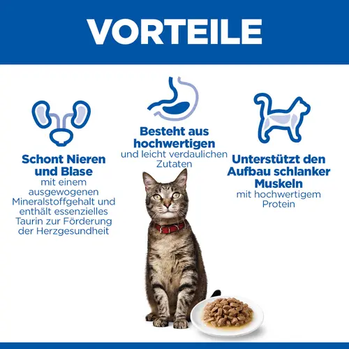 Hill's Science Plan Adult Katzenfutter mit Meeresfisch