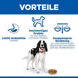 Hill's Science Plan Adult Ragout für Hunde mit Huhn und zugefügtem Gemüse