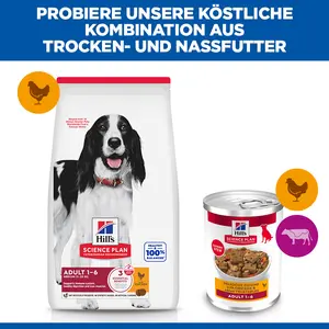 Hill's Science Plan Adult Ragout für Hunde mit Huhn und zugefügtem Gemüse