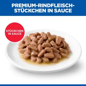 Hill's Science Plan Adult Katzenfutter mit Rind