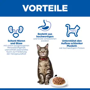 Hill's Science Plan Adult Katzenfutter mit Rind