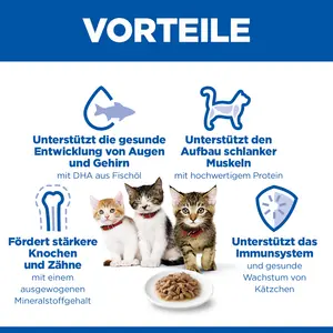 Hill's Science Plan Kätzchenfutter mit Meeresfisch