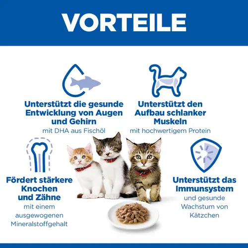 Hill's Science Plan Kätzchenfutter mit Meeresfisch