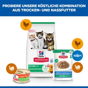 Hill's Science Plan Kätzchenfutter mit Meeresfisch