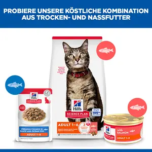 Hill's Science Plan Adult Katzenfutter mit Lachs