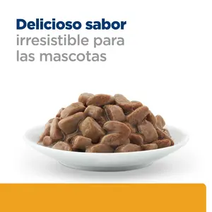 Hill's Prescription Diet c/d Multicare alimento para gatos con pollo