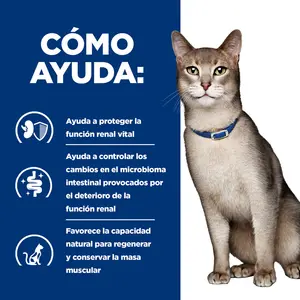 Hill's Prescription Diet k/d alimento para gatos con salmón