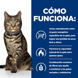 Hill's Prescription Diet Metabolic alimento para gatos pollo