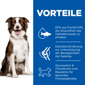 Hill's SCIENCE PLAN Healthy Mobility Medium Adult Hundefutter mit Huhn