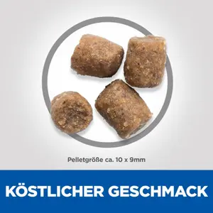 Hill's Science Plan Performance Adult Hundefutter mit Huhn