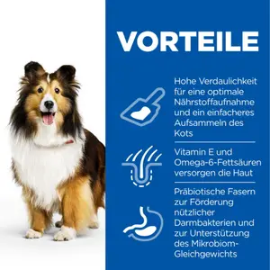 Hill's Science Plan Sensitive Stomach & Skin Medium Adult Hundefutter mit Huhn