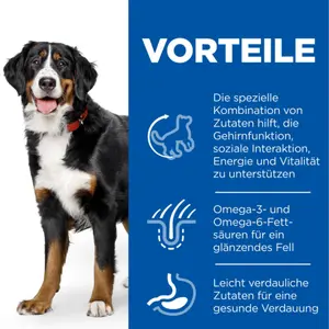 Hill's Science Plan Senior Vitality Large Breed Mature Adult Hundefutter mit Huhn & Reis