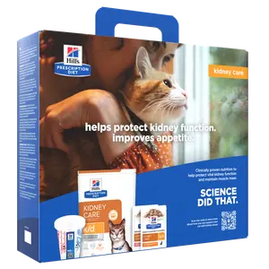Hill's PRESCRIPTION DIET k/d Aliment pour Chat au Saumon au Poulet, au Saumon