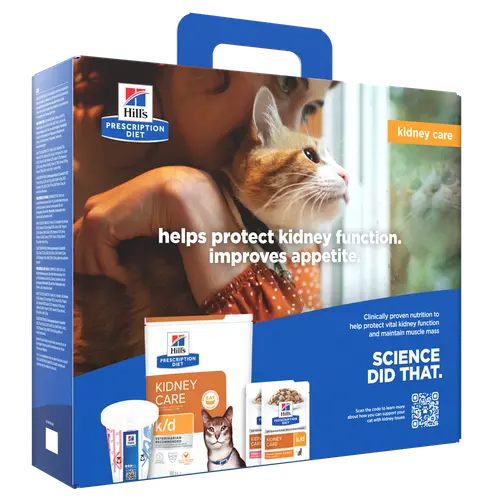 Hill's PRESCRIPTION DIET k/d Aliment pour Chat au Saumon au Poulet, au Saumon